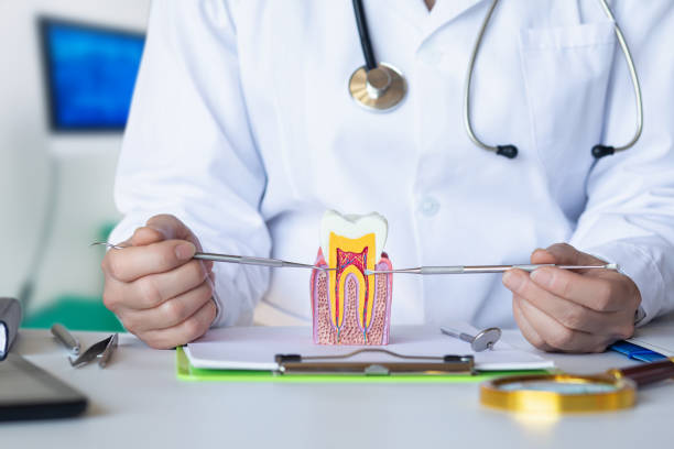 Best Emergency Denture Repair in Cordova, NC